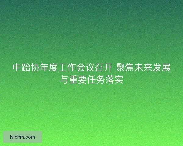 中跆协年度工作会议召开 聚焦未来发展与重要任务落实