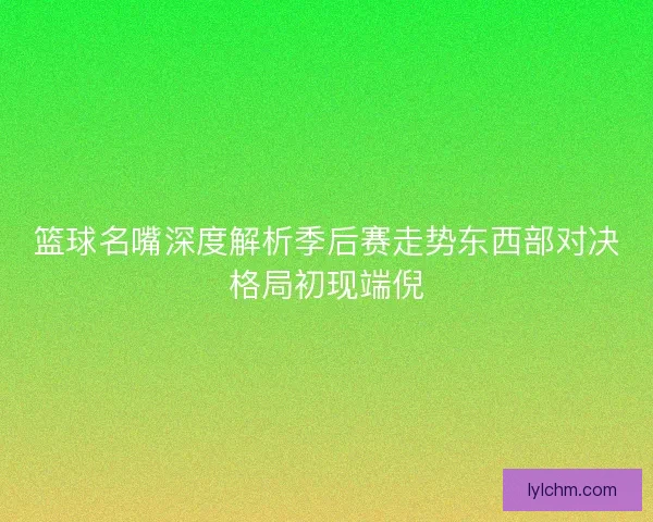篮球名嘴深度解析季后赛走势东西部对决格局初现端倪